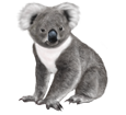 Koala ##STADE## - coat 52
